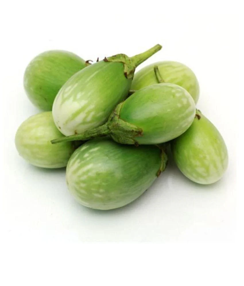 Terung bibit (10kg) (圆茄子)